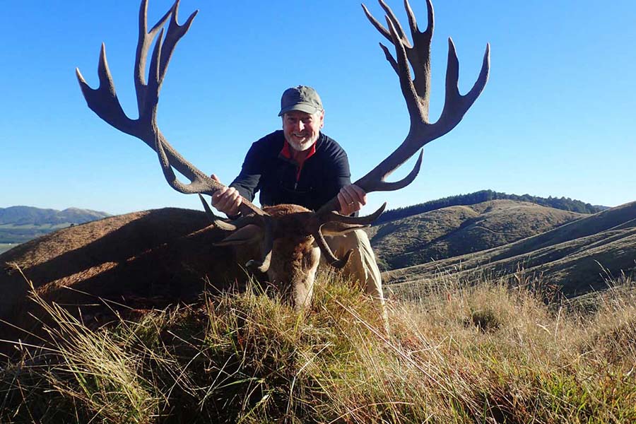 Trophy Hunting Red Stag Poronui Lodge Taupo New Zealand 