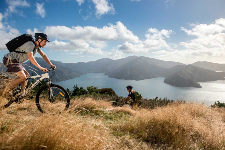 Queen Charlotte Track biking things to do in Marlborough 