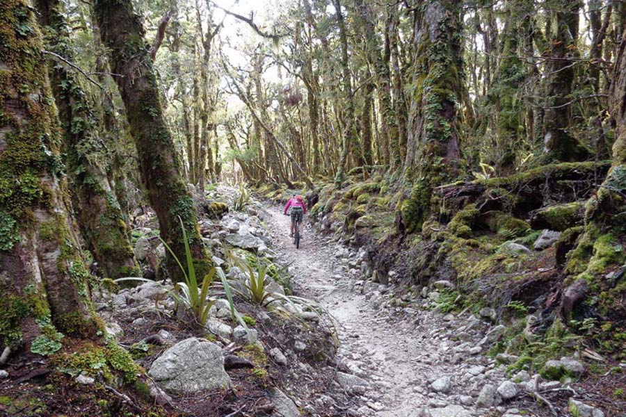 Heli bike Nelson New Zealand adventure tours 